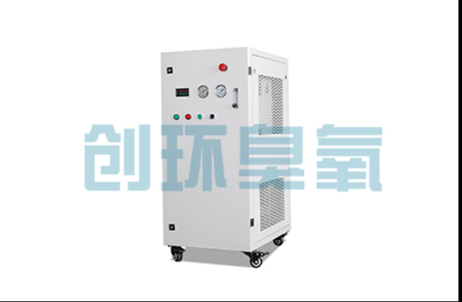 阜城工厂化养鲈必看:2026年臭氧发生器替代传统消毒的最新方案