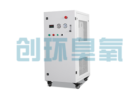 阜城石斑鱼养殖水质调控完整指南：臭氧发生器配置与操作步骤