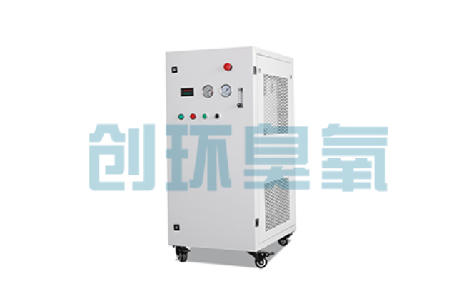 阜城比传统换水更高效？臭氧发生器在石斑鱼养殖中的水质净化原理解析
